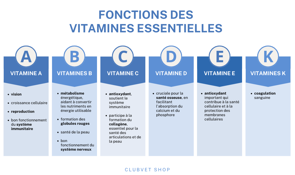 Vitamines pour chien et chat bonne idée — free download